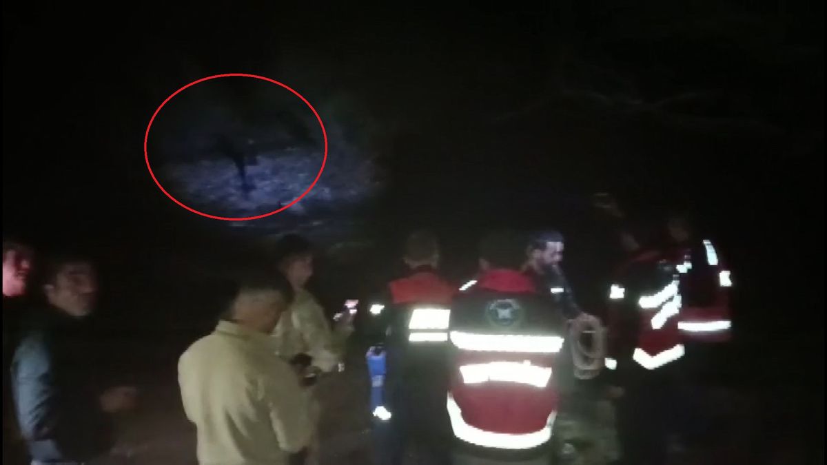 Diyarbakır'da Işkın Bitkisi Toplamaya Giden Adam, Sağanak Nedeniyle Çayda Mahsur Kaldı