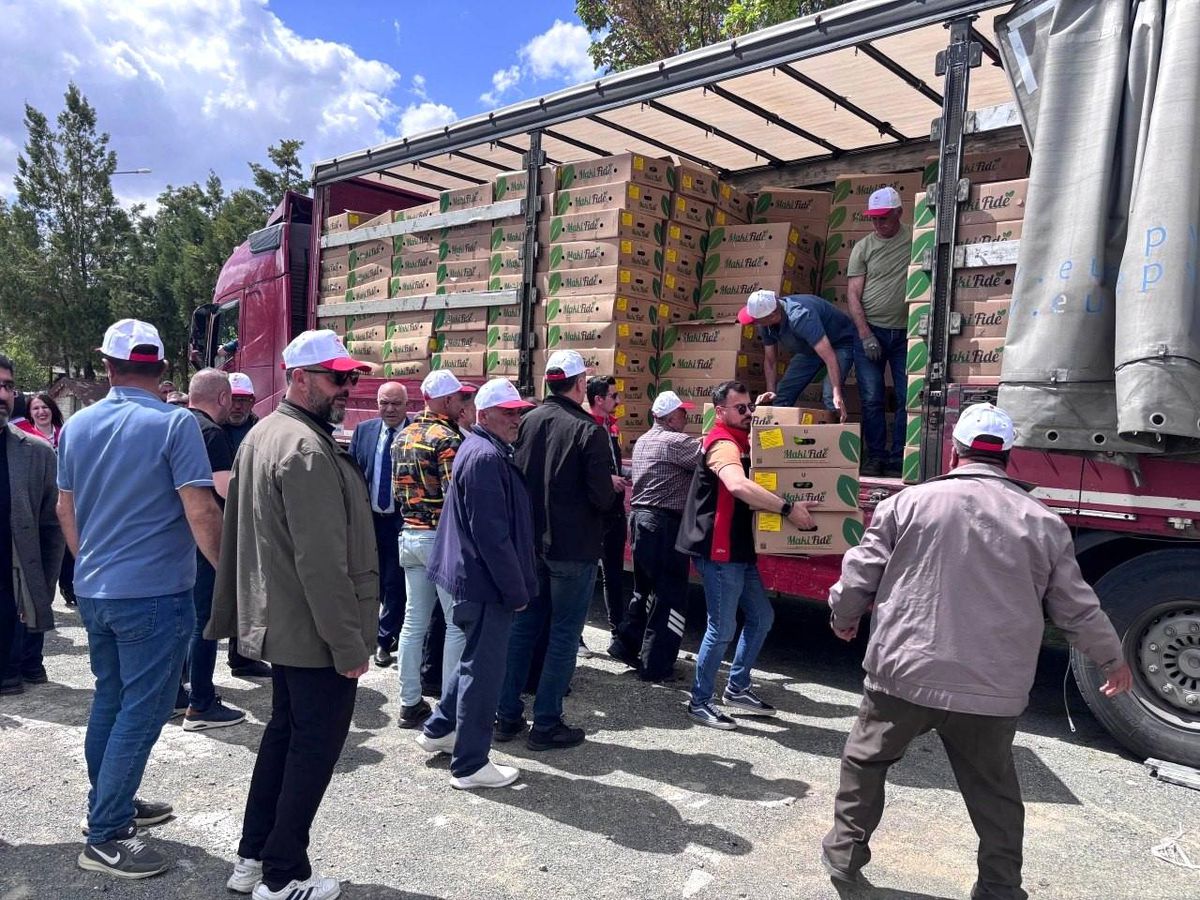 Erzincan'da 220 üreticiye 779 bin 520 sebze fidesi dağıtıldı