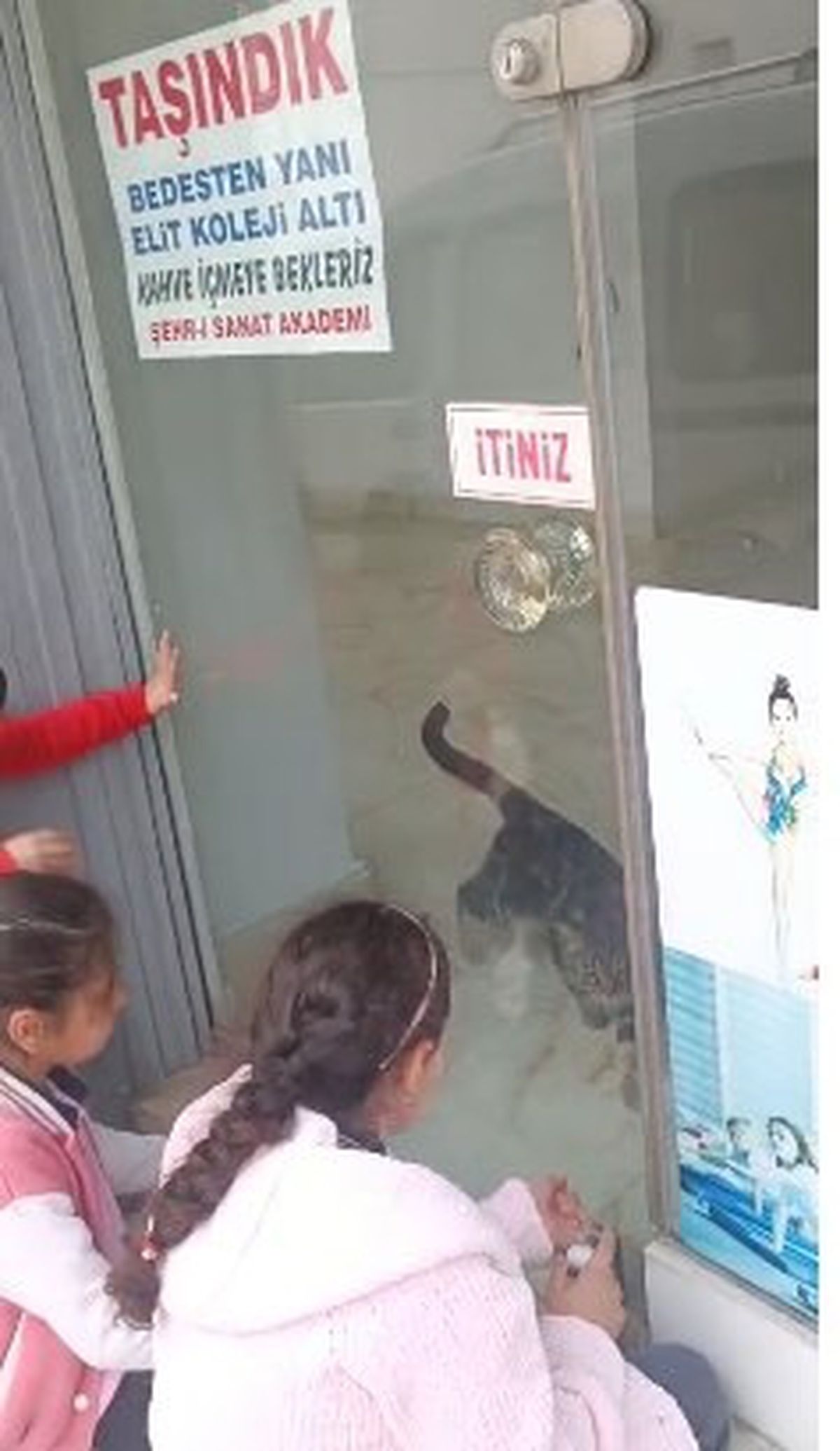 Çorum'da mahsur kalan kedi öğrenciler sayesinde kurtarıldı