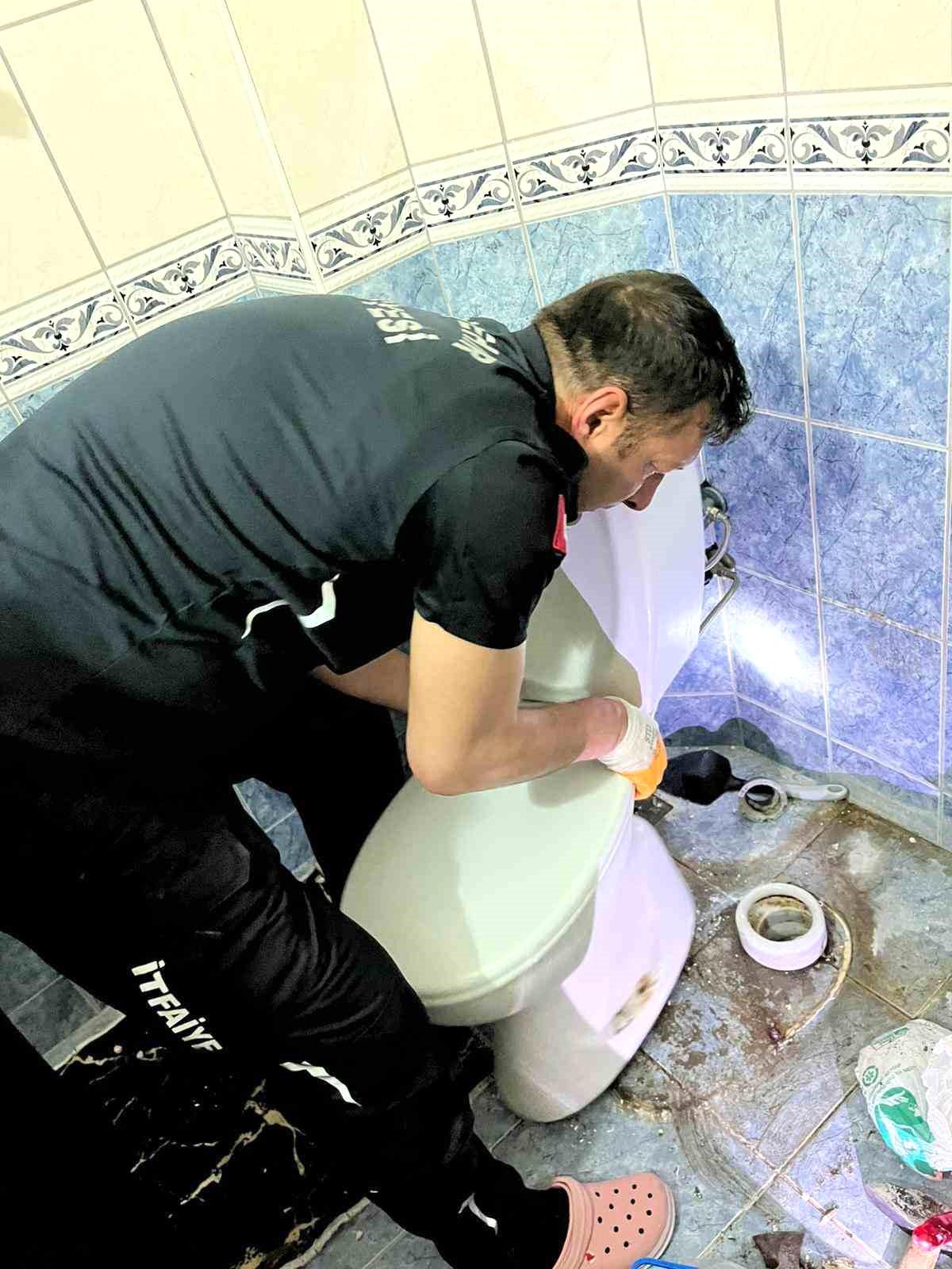 Klozete düşen kedi itfaiye tarafından kurtarıldı
