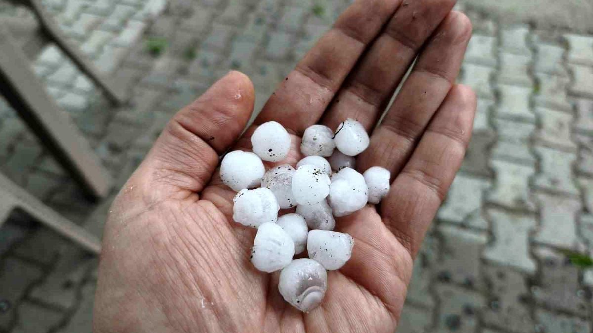 Demirci’de dolu kiraz bahçelerini vurdu, tarım ekipleri sahada