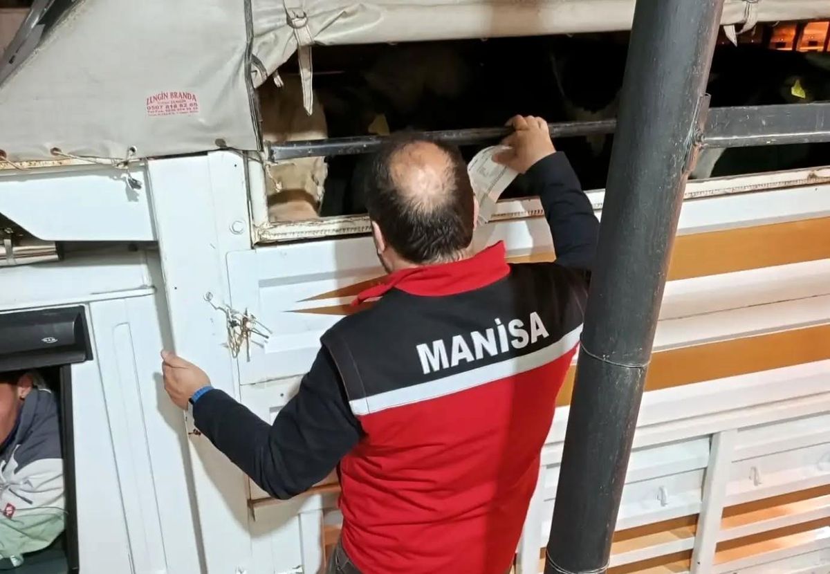 Salihli'de kurbanlık nakli yapan araçlara sıkı denetim