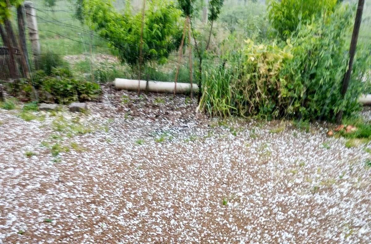 Sarıgöl'de bağlar dolu yağışıyla beyaza büründü
