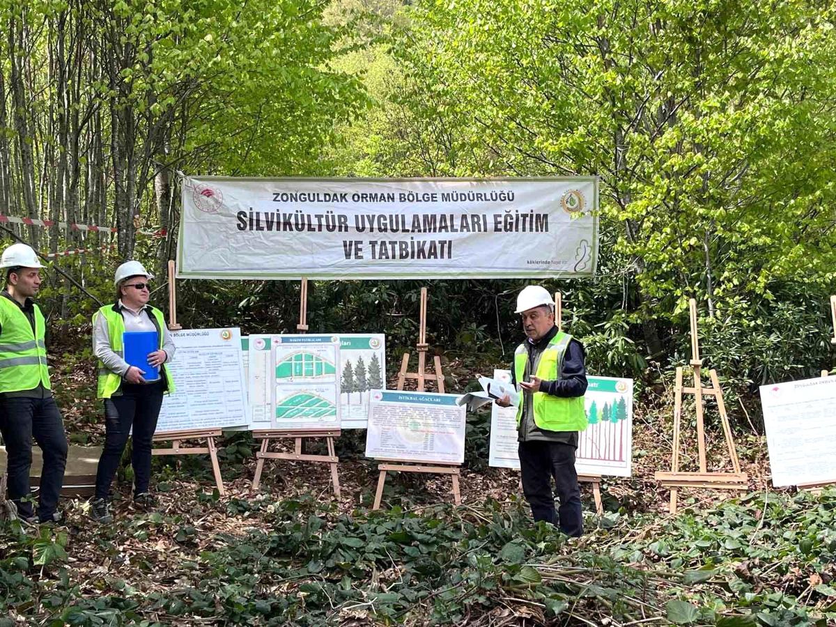 Silvikültür eğitim tatbikatı Yenice'de tamamlandı