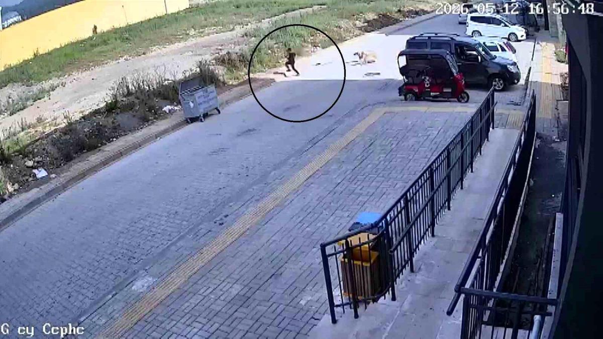 Sokak köpeklerinin saldırdığı 7 yaşındaki çocuk korku dolu anlar yaşadı