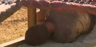 Survivor Barış elendi mi, Barış Murat Yağcı diskalifiye mi oldu? Barış Murat Yağcı sağlık durumu ne?