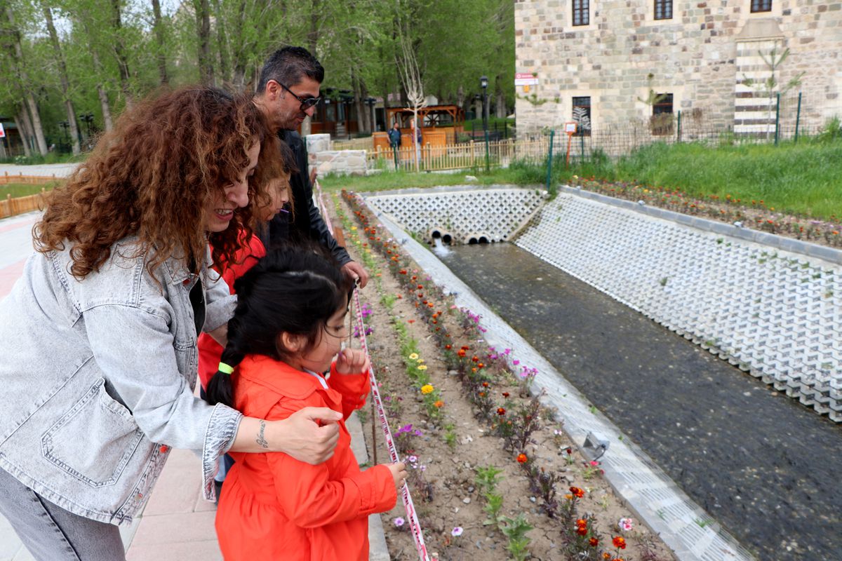 Van Gölü'nde İnci Kefali Üreme Yolculuğunda
