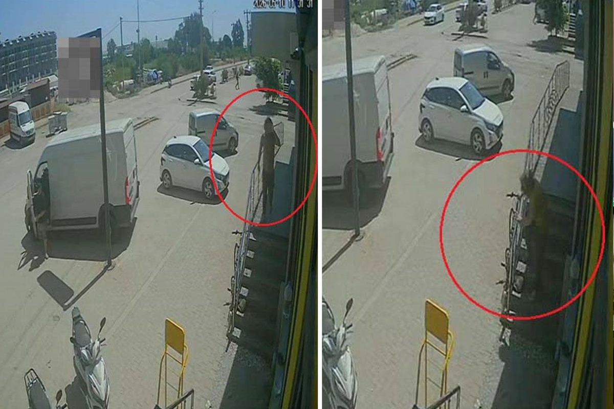 Antalya'da yabancı uyruklu şahıs kedinin üzerine bastı, köpeği tekmeledi