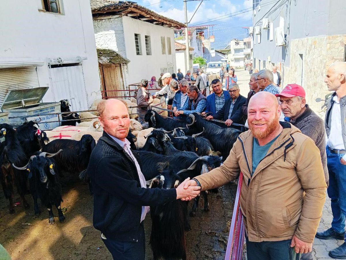 Bozdoğan Yazıkent'te Kurban Pazarı hareketlendi