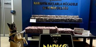 Çankırı'da araçlarında 85 bin uyuşturucu hap bulunan 2 zanlı tutuklandı