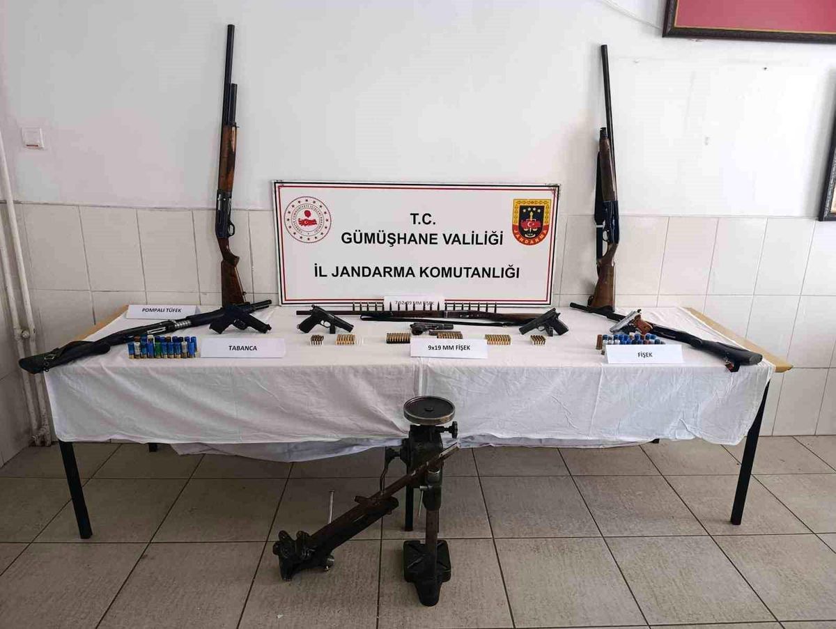 Gümüşhane'de jandarmadan silah operasyonu