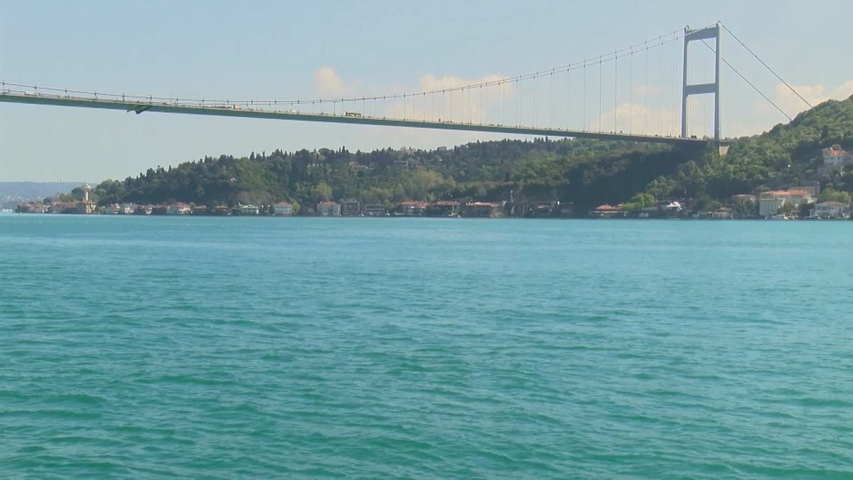 İstanbul Boğazı'nda yunus sürprizi