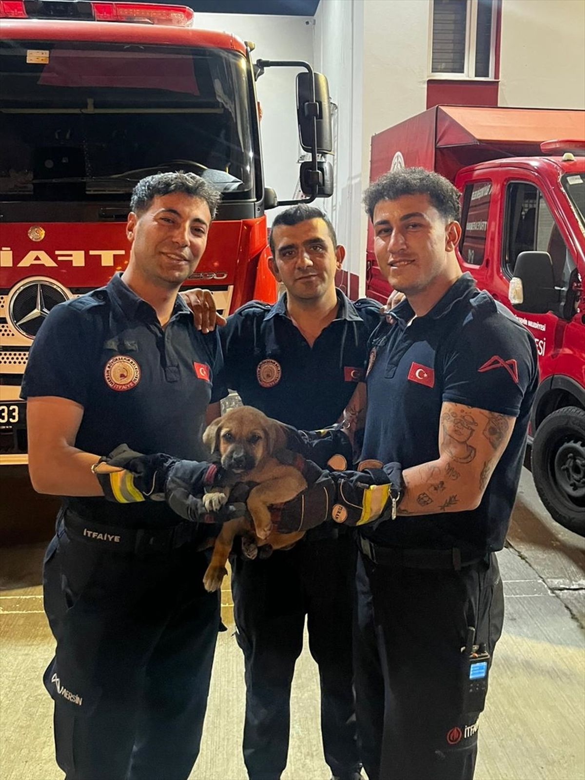 Mersin'de otomobilin motor kısmına sıkışan köpek yavrusunu itfaiye kurtardı