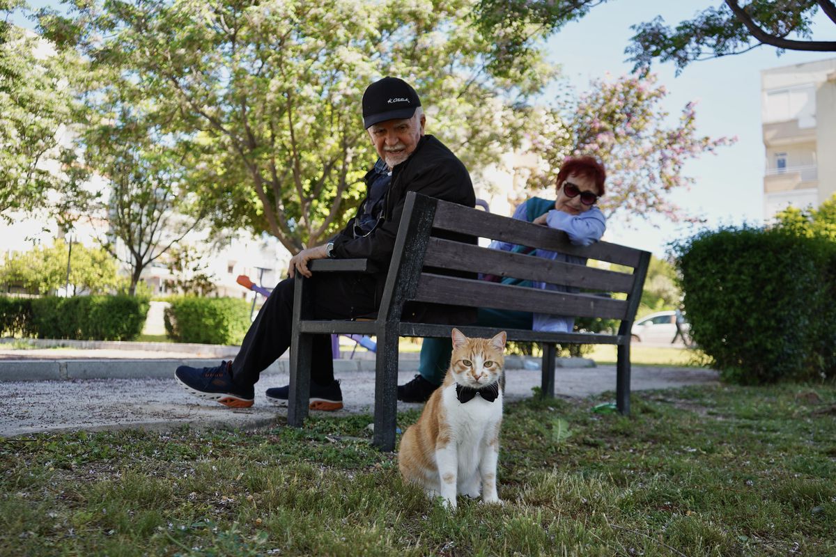 80'lik Çiftin Hayatını Değiştiren Kedi: Foça
