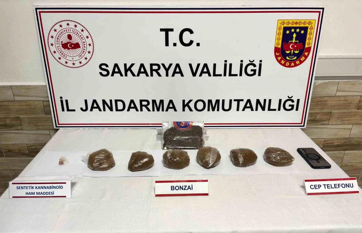 Sakarya'da 2 ilçede uyuşturucu operasyonu: 2 tutuklama