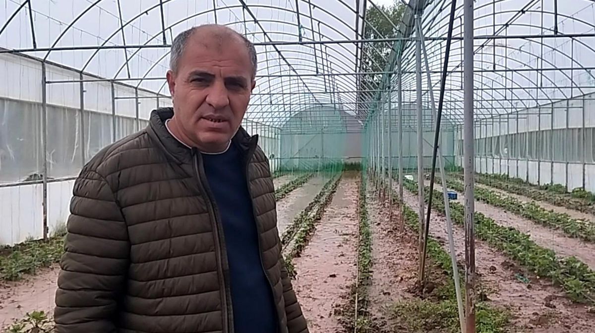 Sivas'ta dere taştı: Sera ve bahçeler sular altında kaldı