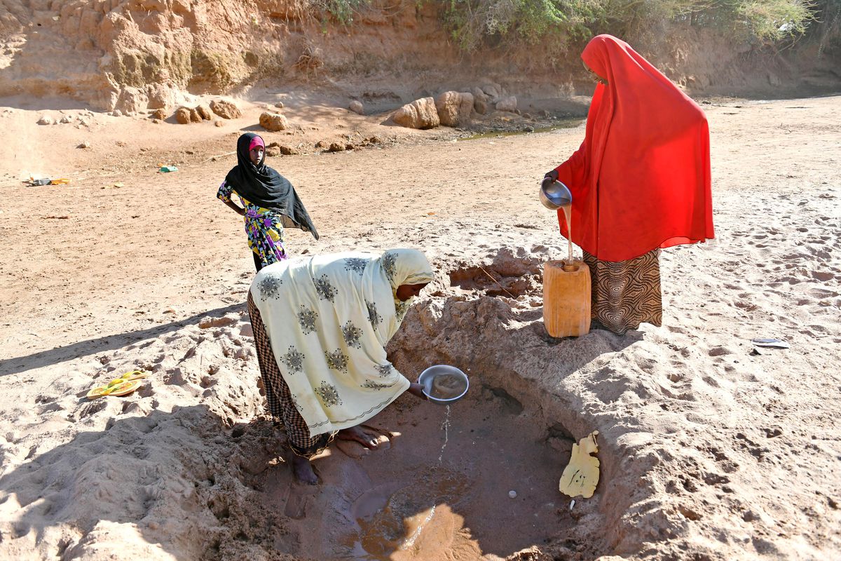 Somali'de Gıda Güvensizliği 6 Milyon Kişiyi Tehdit Ediyor
