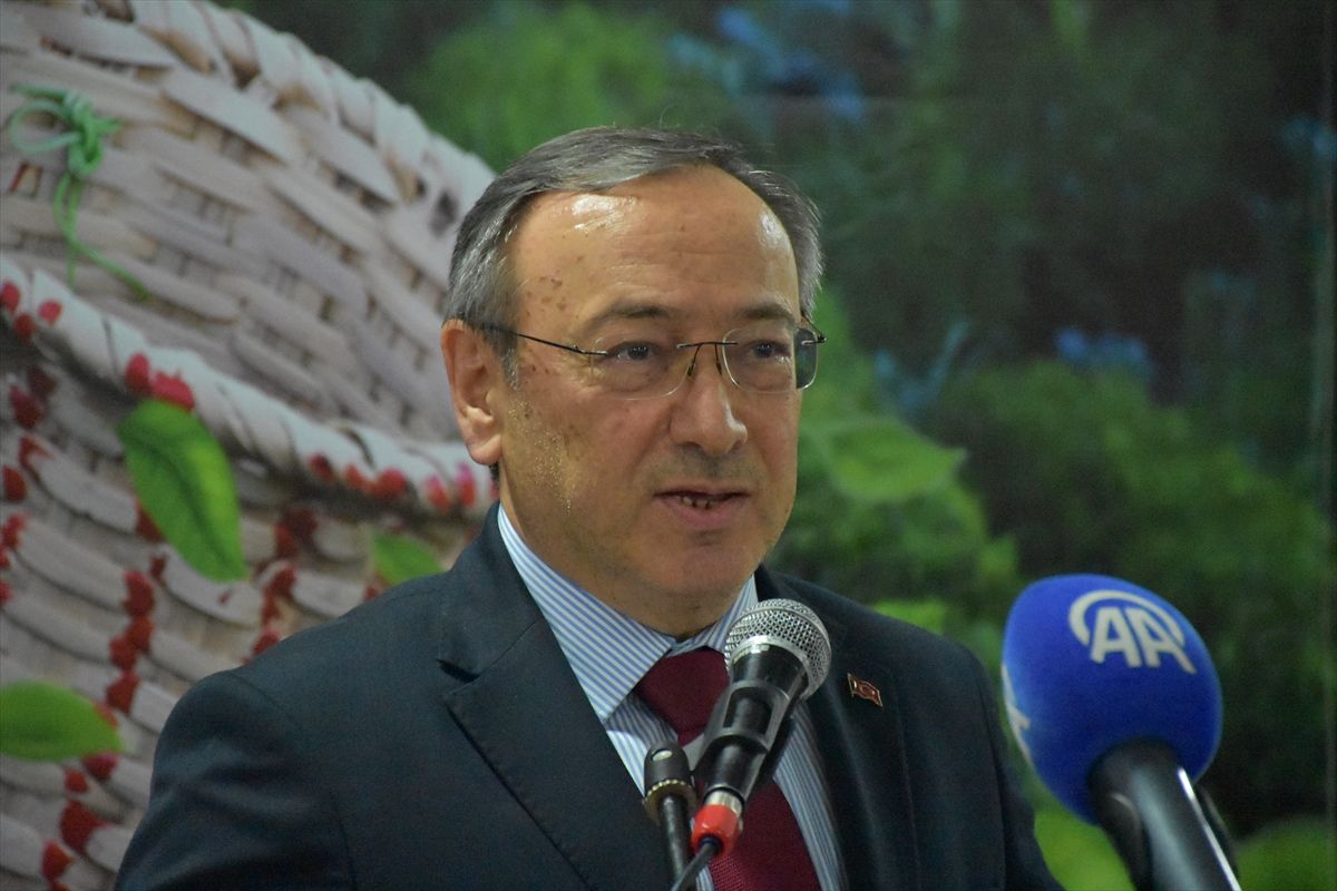 Trabzon'da çay hasat töreni düzenlendi