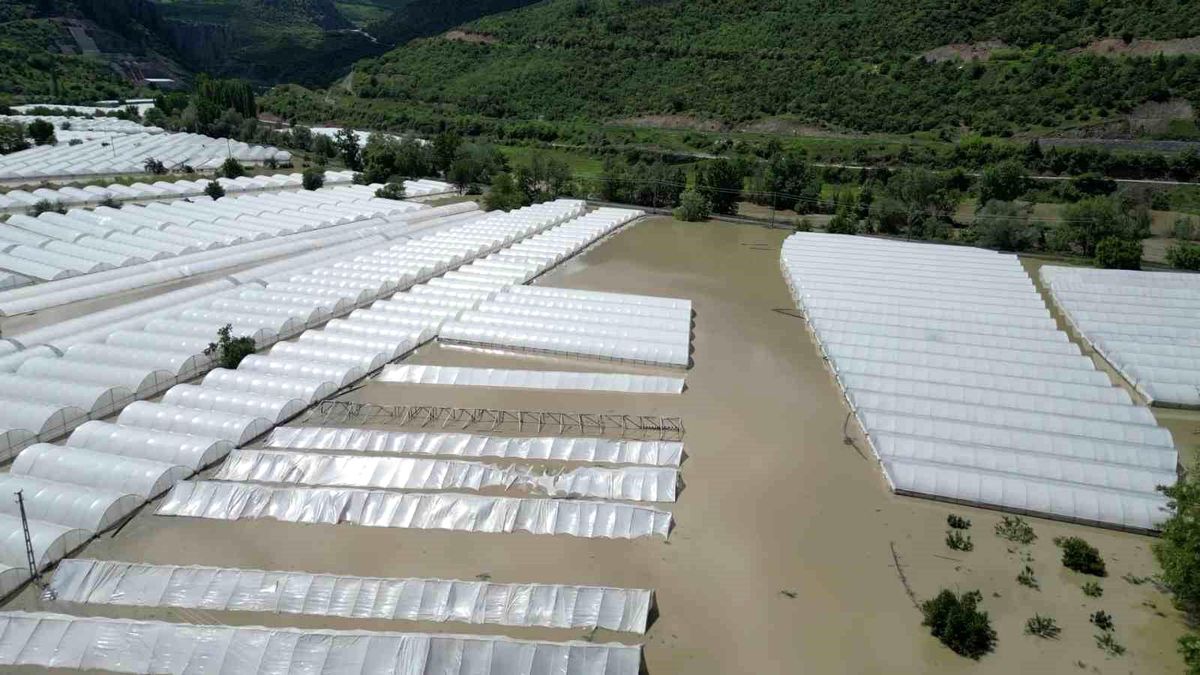 Amasya'da Yeşilırmak Nehri taştı, tarım arazileri sular altında kaldı
