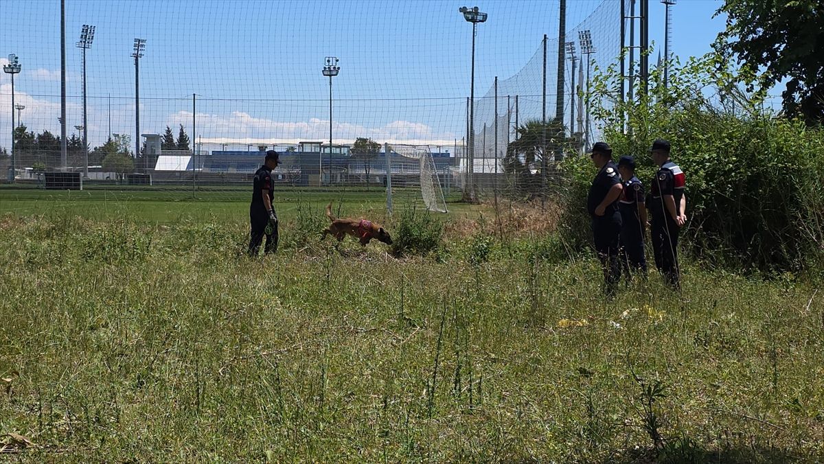 Antalya'da boş arazide kafatası ve kemikler bulundu