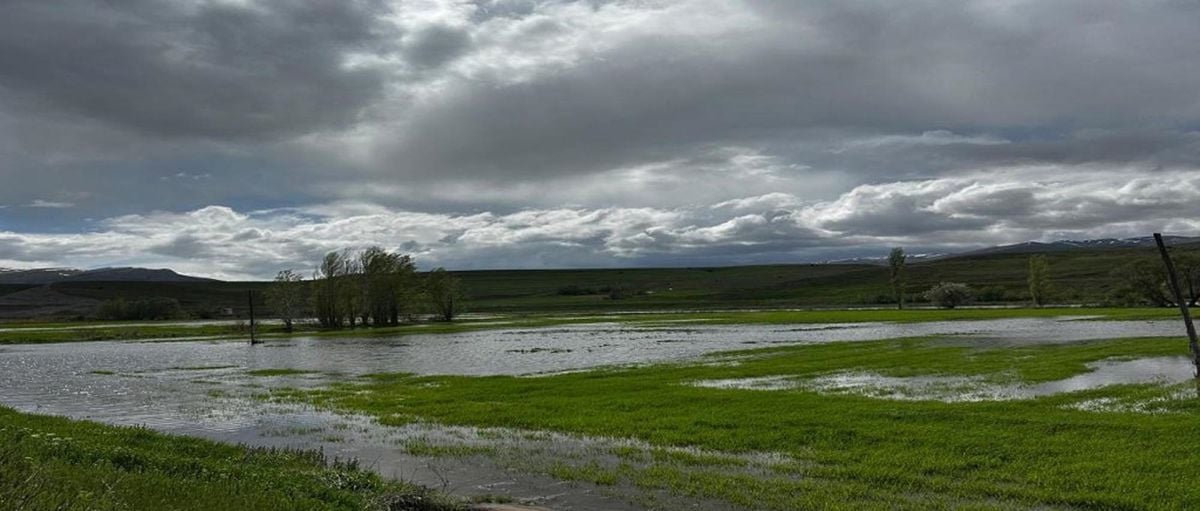 Erzincan'da aşırı yağış, ekili arazileri vurdu