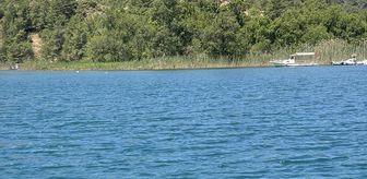 Fethiye'de deniz dibi temizliği yapıldı