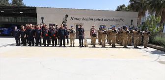 Hatay'da 87 gün önce kaybolan genci arama çalışmaları yeniden başladı