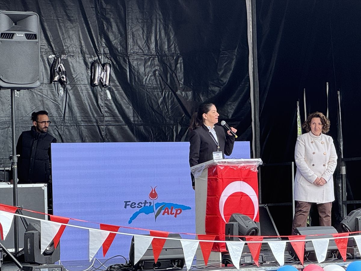 İsviçre ve Fransa'da yaşayan binlerce Türk vatandaşı festivalde buluştu