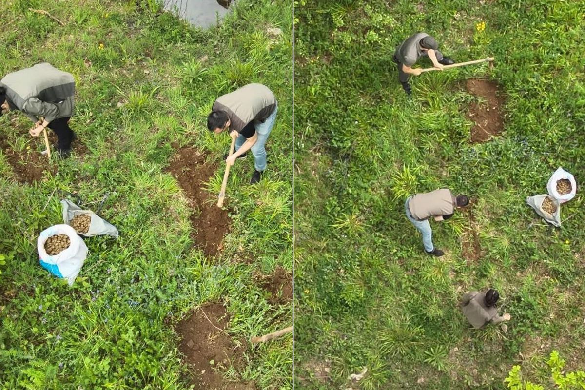 Dron'la tespit edildi, 700 bin lira ceza kesildi