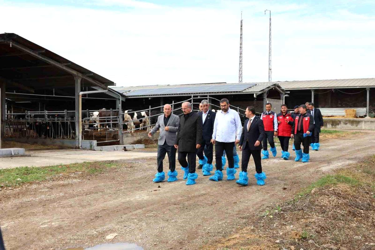 Kurban Bayramı öncesi hayvancılık işletmelerinde inceleme