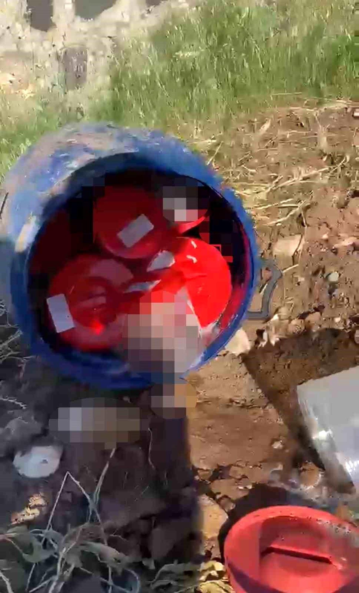 Plastik kutularda 21 cenin bulundu
