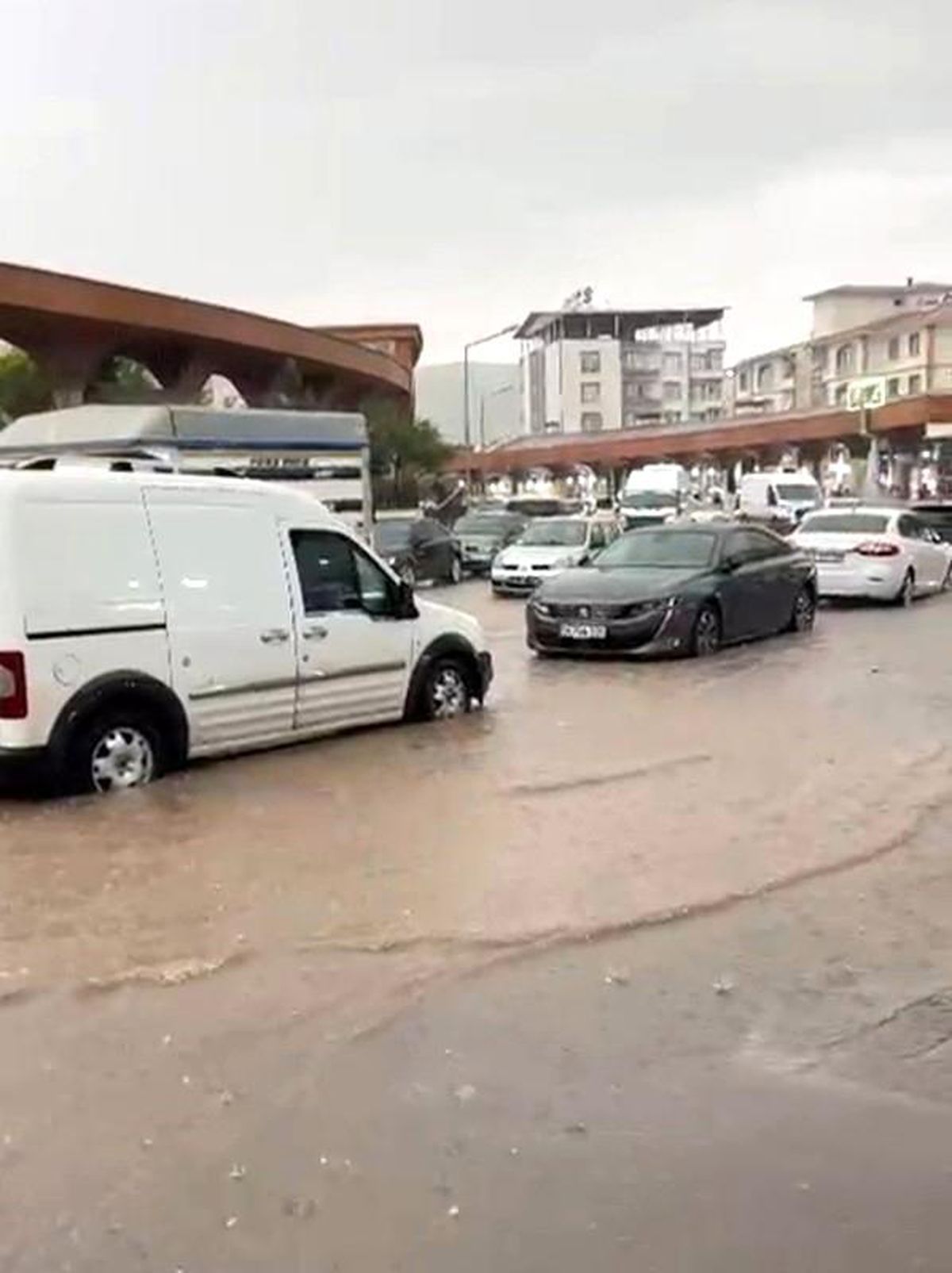 Siirt'te sağanak yağış sele neden oldu, iş yerleri ve seralar zarar gördü