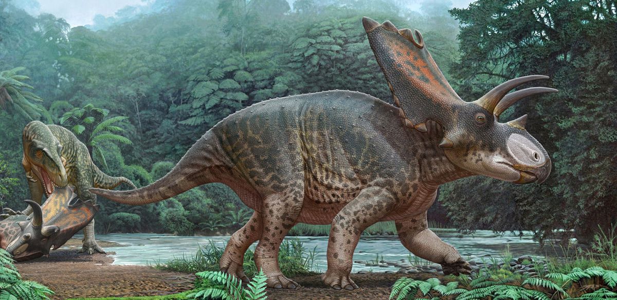 Tayland'da yeni bir dinozor türüne ait kalıntılar bulundu