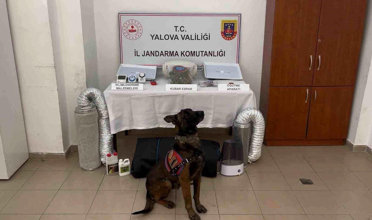 Yalova merkezli 3 ilde göçmen kaçakçılığı operasyonu: 3 tutuklama