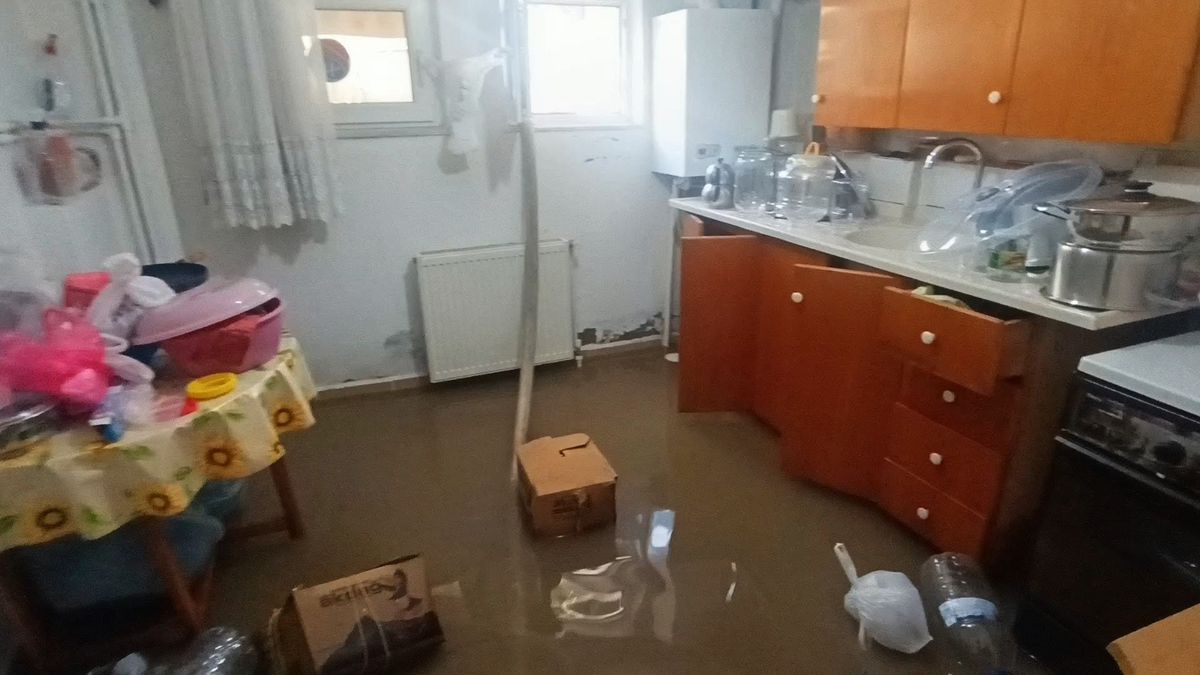 Yeşilırmak Nehri taştı, bazı evleri su bastı