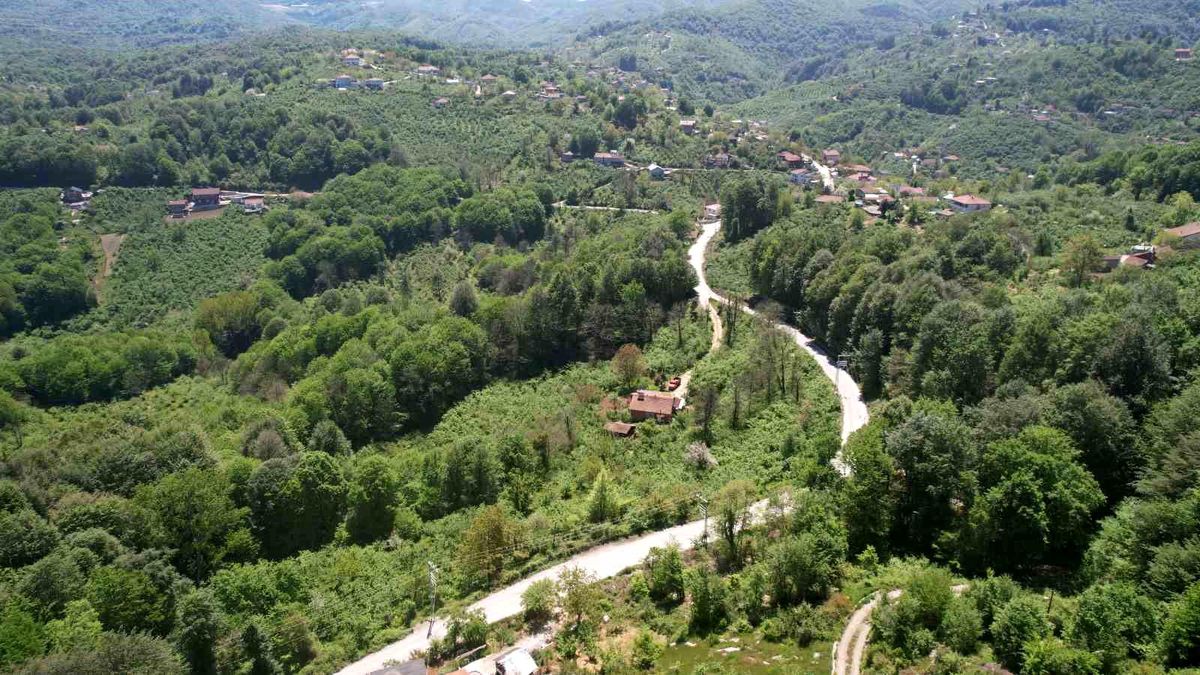 Zonguldak ormanları baharın gelişiyle dronla görüntülendi