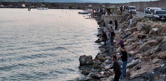 Zonguldak'ta olta balıkçıları bol miktarda istavrit avladı