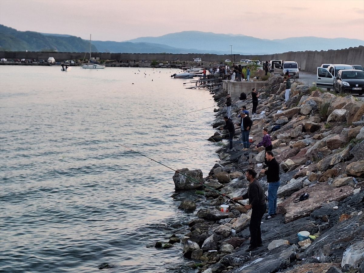 Zonguldak'ta olta balıkçıları bol miktarda istavrit avladı