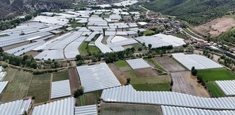Amasya'da seralar ve tarım arazileri sular altında kaldı