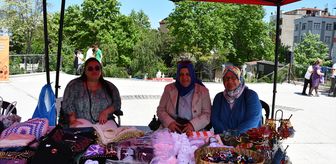Bilecik'te 'Bahar'ın sesi, Bilecik'in enerjisi' festivali düzenlendi