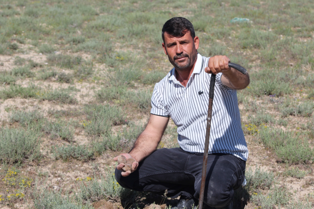 dolaman kurdu gunde 60 bin lir 19854531 1160 1 m