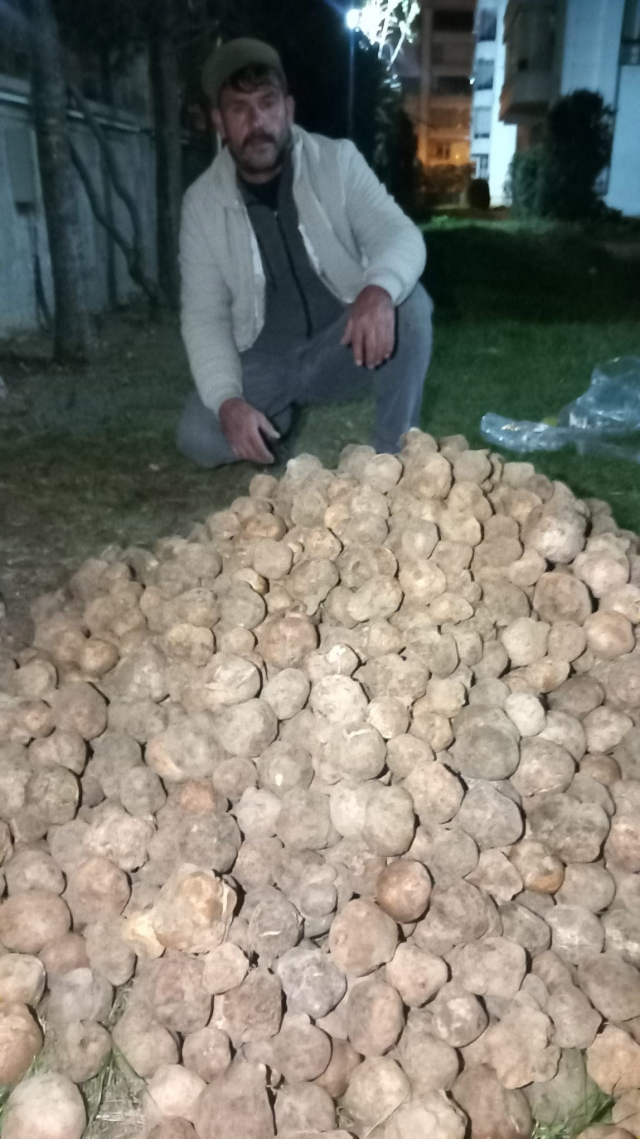 dolaman kurdu gunde 60 bin lir 19854531 1888 1 m