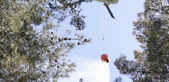 Fethiye'de çıkan orman yangını kontrol altına alındı