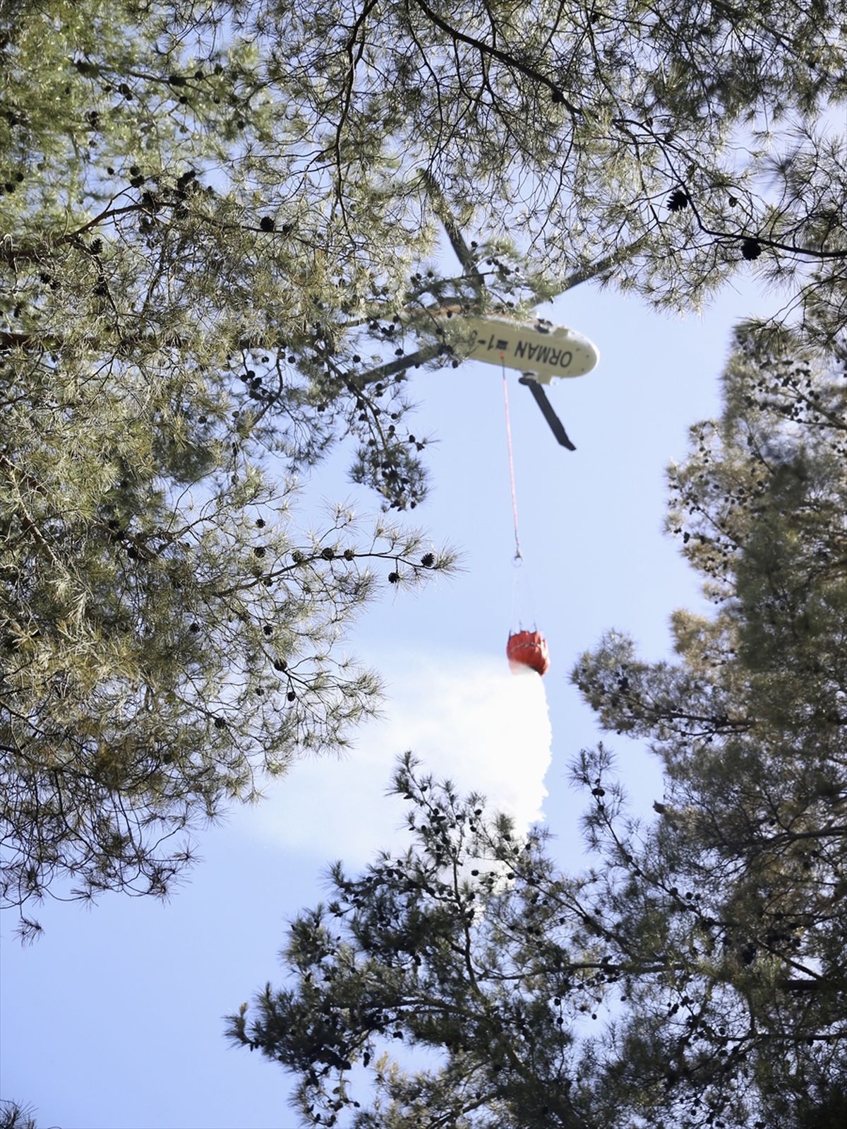 Fethiye'de çıkan orman yangını kontrol altına alındı