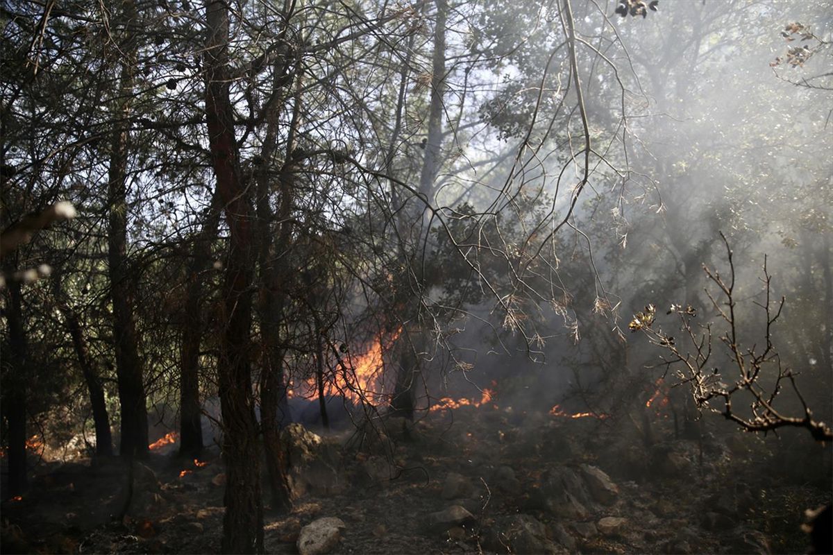 Fethiye'de çıkan orman yangını korkuttu
