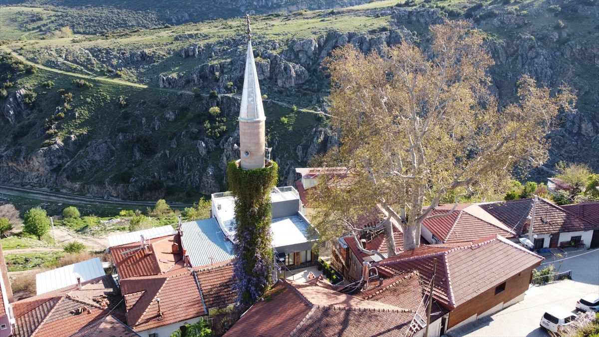 Isparta'da sarmaşıklı minare görenlerin dikkatini çekiyor