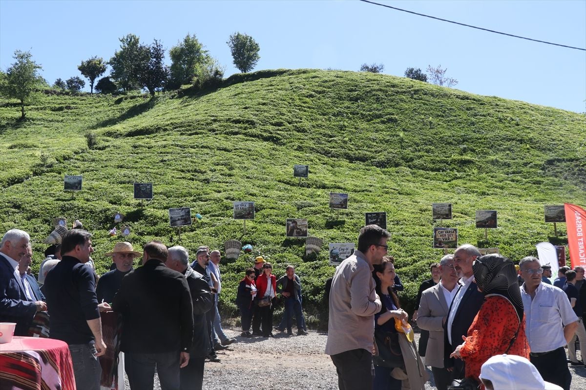 Rize’de ‘Bir Yaprakla Başlar’ ile Çay Sezonu Açılışı