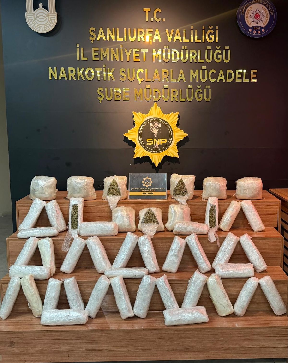 Şanlıurfa'da 20 kilo skunk ele geçirildi