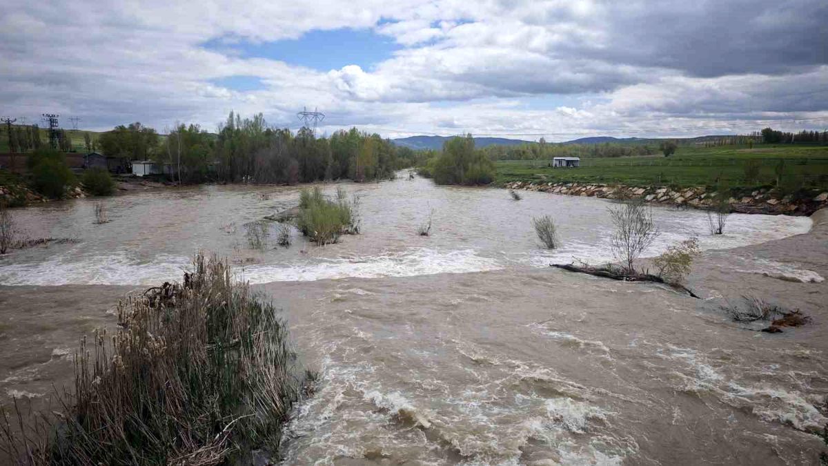 Türkiye'nin en uzun nehri Kızılırmak'ı besleyen Yıldız Irmağı coştu