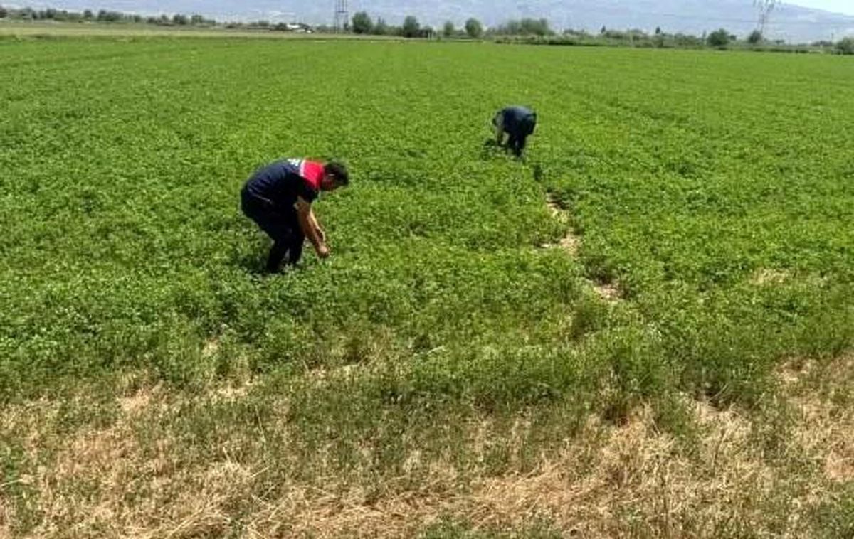 Aydın'da kuraklıkla mücadele çalışmaları sürüyor